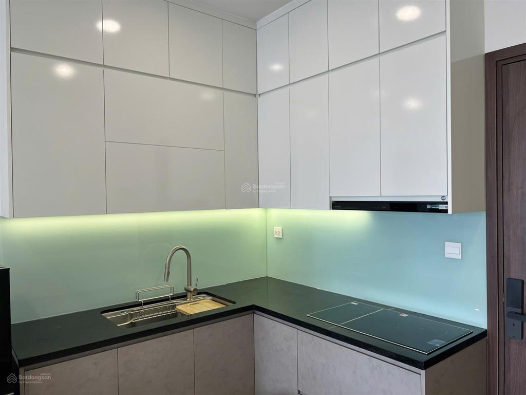 Cho thuê ch 2pn,3pn tại sunrise riverside,chỉ từ 12triệu