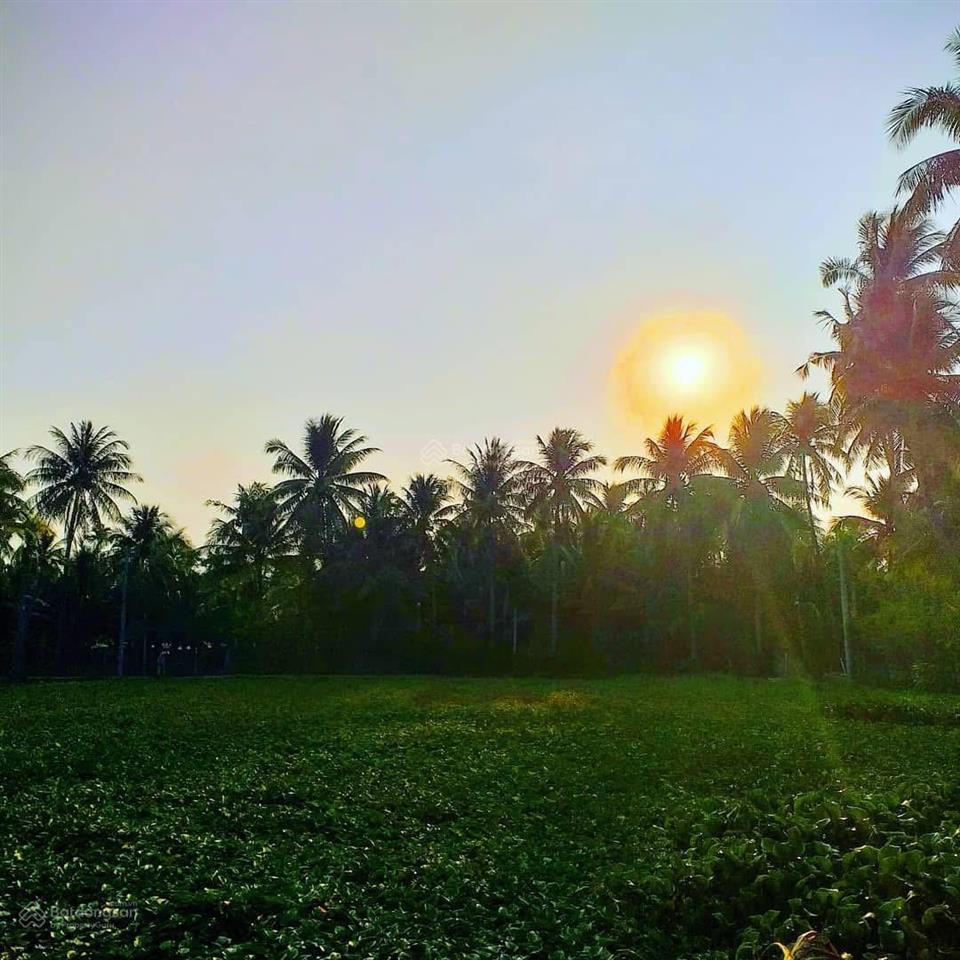 Đất đẹp, tường bao đẹp, bên cạnh hồ có view đẹp mát, đi bộ ra biển, dựng nhà gỗ rất hợp ở hoặc cafe