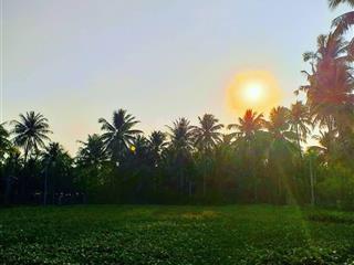 Đất đẹp, tường bao đẹp, bên cạnh hồ có view đẹp mát, đi bộ ra biển, dựng nhà gỗ rất hợp ở hoặc cafe