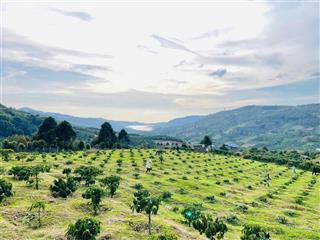 Bán nhanh lô đất view trực diện hồ 1005,2m² có thác nước tự nhiên phù hợp nghỉ dưỡng hoặc đầu tư