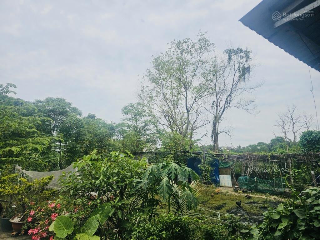 Đất an phú đông, vười lài, rộng 888m2, 40x22m, 1 đời chủ, (39 triệu/m2) ra 3 mặt tiền về bình thạnh