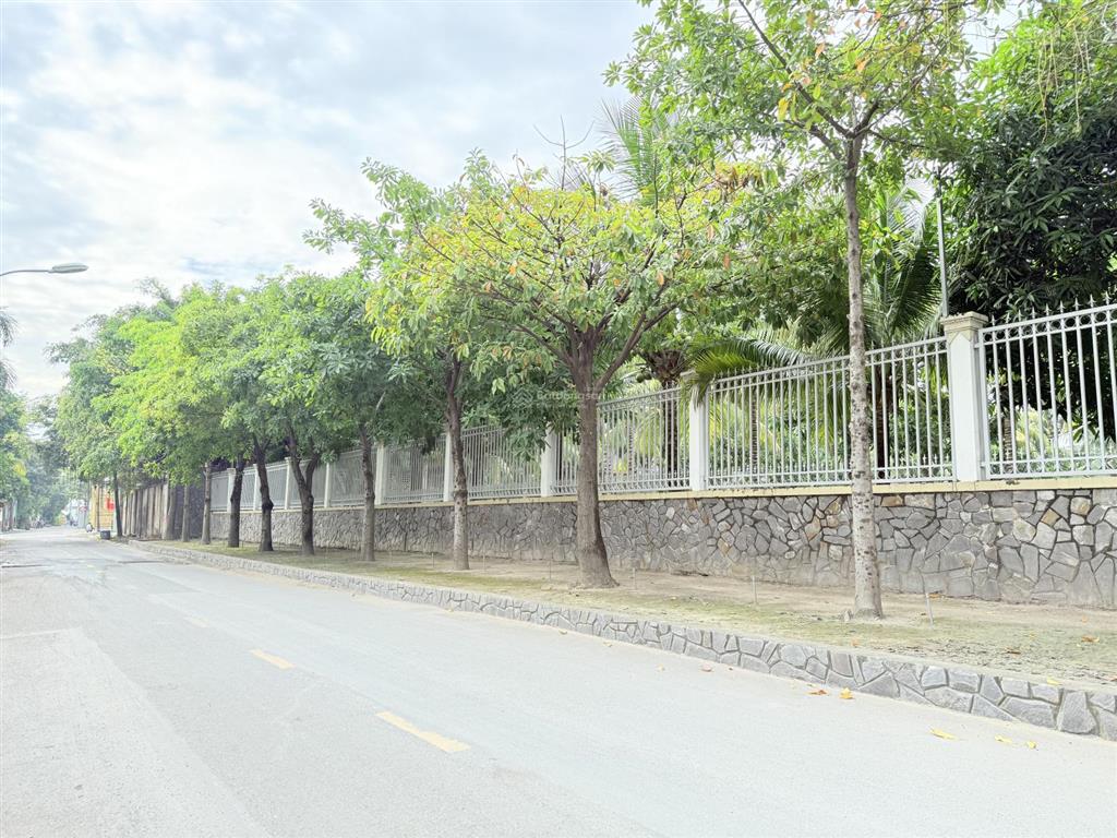 Đất khu bình lợi mặt tiền sông sài gòn, 300m2, 19x16m, phân lô biệt thự, 1 đời chủ chỉ 140 triệu/m2