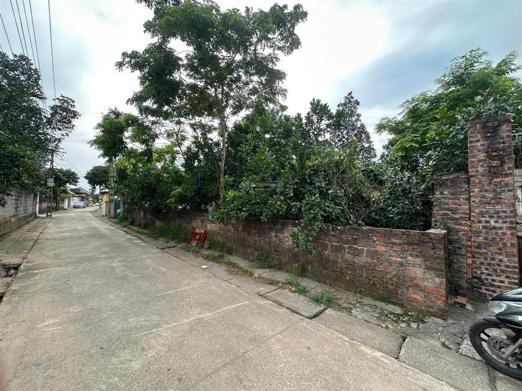 Chính chủ bán đất xóm quang trung, thôn toàn thắng, xã tân châu, khoái châu, hưng yên, 161m full sổ