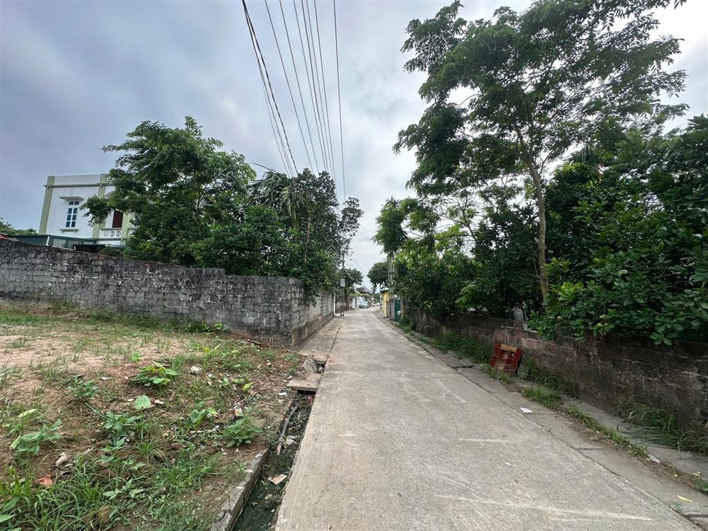 Chính chủ bán đất xóm quang trung, thôn toàn thắng, xã tân châu, khoái châu, hưng yên, 161m full sổ