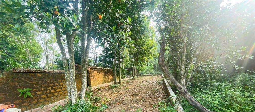 Bán đất tại xã đồng trúc, huyện thạch thất, hà nội, 2,6 tỷ, 103m2