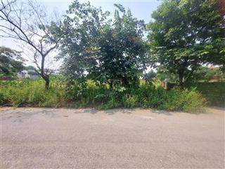 Bán đất hòa lạc tái định cư vai réo dt 300m2 siêu hiếm hơn 20mt giá đầu tư