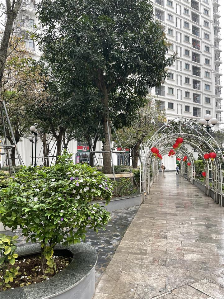 Em hùng cập nhật giá mới nhất tại chung cư iris garden giá tốt nhà đẹp chủ cần bán nhanh sổ đỏ