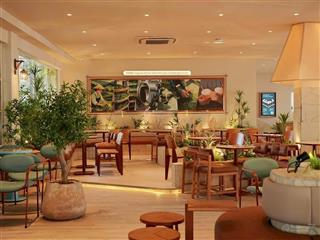 Mặt phố nguyễn trường tộ 150m2 x 4 tầng, mặt tiền 6m, giá 60 triệu/ tháng.  0342 567 ***