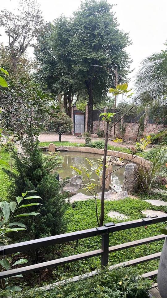Nhà vườn mặt phố từ hoa  tây hồ. 700m2, giá 60triệu/ tháng.  0342 567 ***