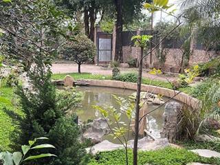 Nhà vườn mặt phố từ hoa  tây hồ. 700m2, giá 60triệu/ tháng.  0342 567 ***