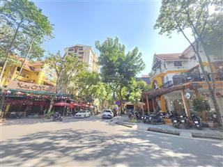 Biệt thự 4 tầng nhà căn góc ngã tư phố khu đô thị mỹ đình 2 206m2, mặt tiền 30m.