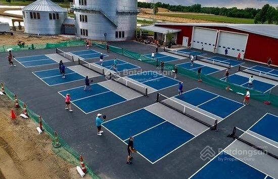 Cho thuê 2000m2 tại mặt phố cổ linh chia làm 08 sân pickleball. chỉ vào vận hành. giá 250 triệu