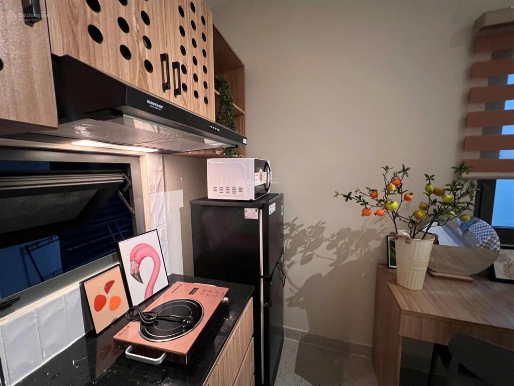 Cho thuê cc mini 25m2, 5,3 triệu tại lê đức thọ, gò vấp, hcm chỉ với hàng hot