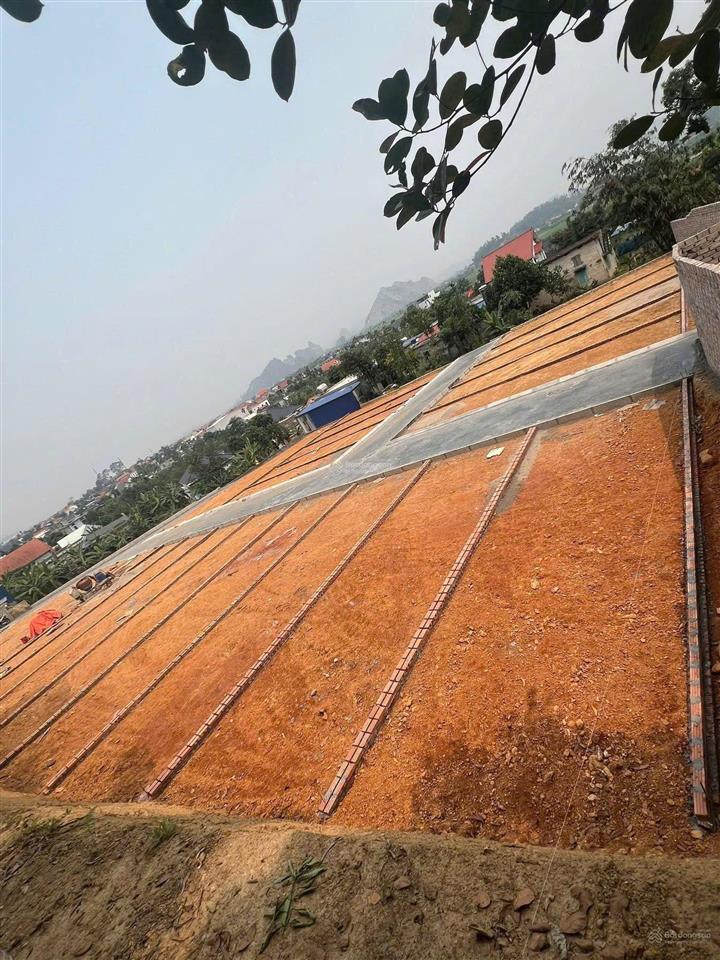 Mở bán lô f0 trung tâm xã phù ninh, thủy nguyên