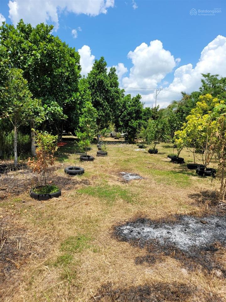 Đất vườn xã thái mỹ (mới) củ chi