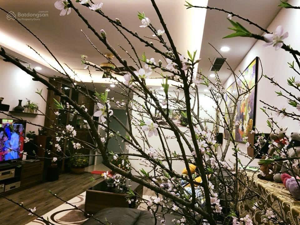 Gia đình cần bán căn 350m2 4pn tòa m5 nguyễn chí thanh giá 24 tỷ.  0936 242 ***