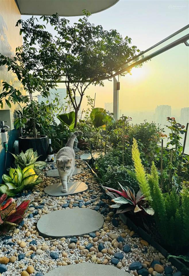 Tôi cần bán căn penthouse 4pn 350m2 tòa green láng hạ, sổ lâu dài, giá 55 tỷ.  0936 242 ***
