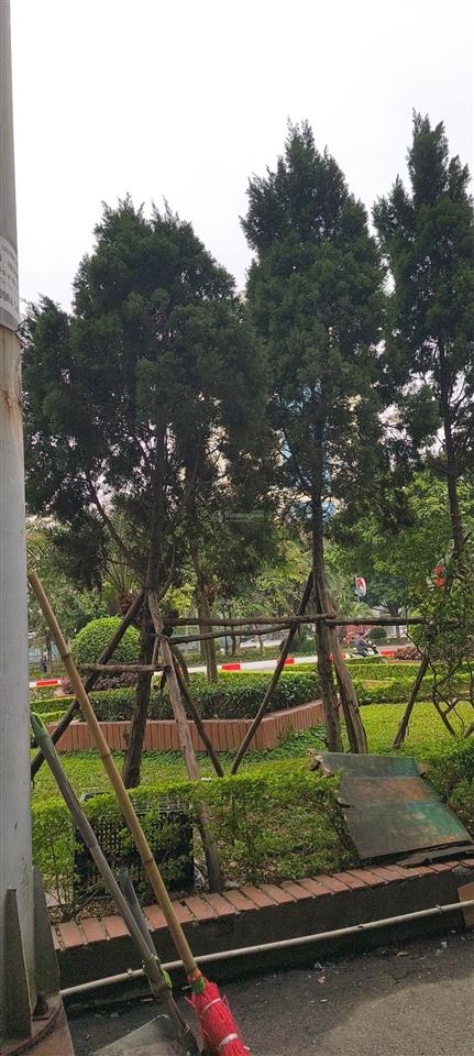 Gấp đất bình minh thanh oai hà nội 56m2 ô tô vào đất chỉ 3 tỷ