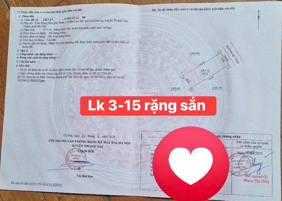 Đấu giá rặng sắn cao dương lk3  15 diện tích 72,5m2, mặt tiền = hậu 5m vuông vắn