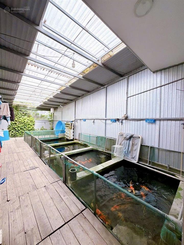 Bán nhà riêng tại phường tân biên, biên hòa, đồng nai, giá 3,6 tỷ, diện giá 3,6 tỷ, diện tích 160m2