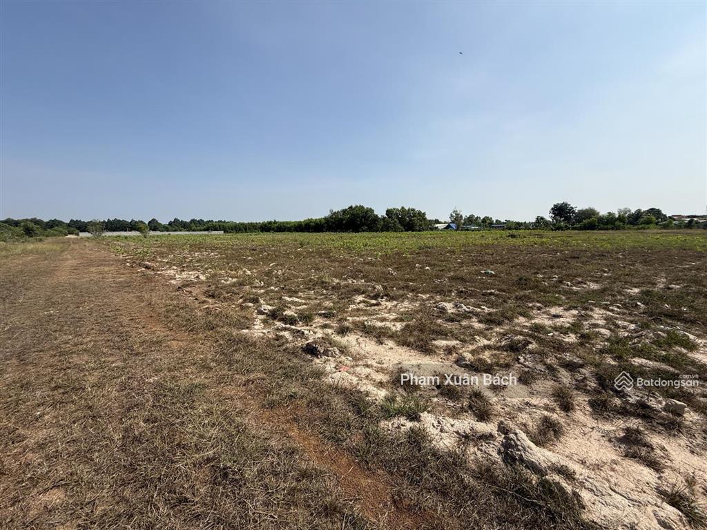 Bán đất 33.000m2  2mt vành đai 4 mt 60m, xã châu pha, phú mỹ, hcm, giá cực chất 60 tỷ