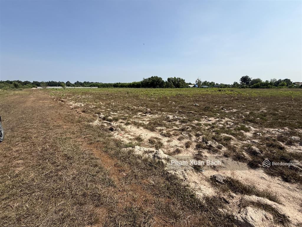 Bán đất 33.000m2  2mt vành đai 4 mt 60m, xã châu pha, phú mỹ, hcm, giá cực chất 60 tỷ