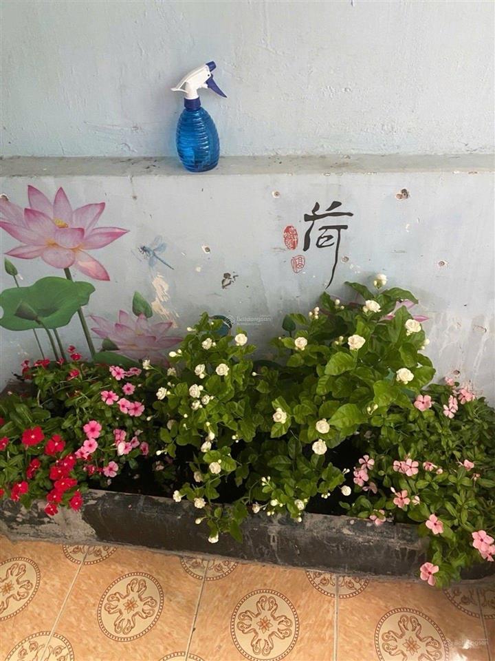Mặt tiền kinh doanh  phùng văn cung  p. đức nhuận  23m2  2 tầng