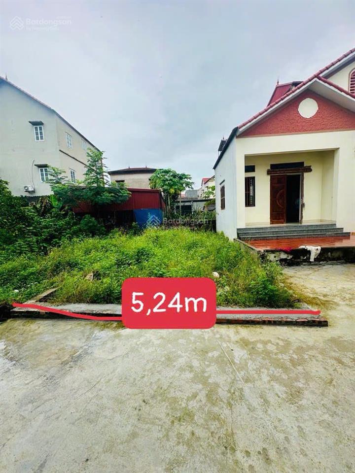 Bán đất trung hậu đông tiền phong mê linh 62,7m², sổ đỏ, ô tô 7 chỗ, nhỉnh 4 tỷ