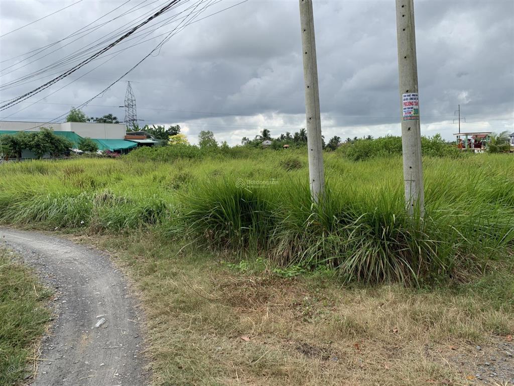 Cần bán đất thổ cư ở cần đước, long an