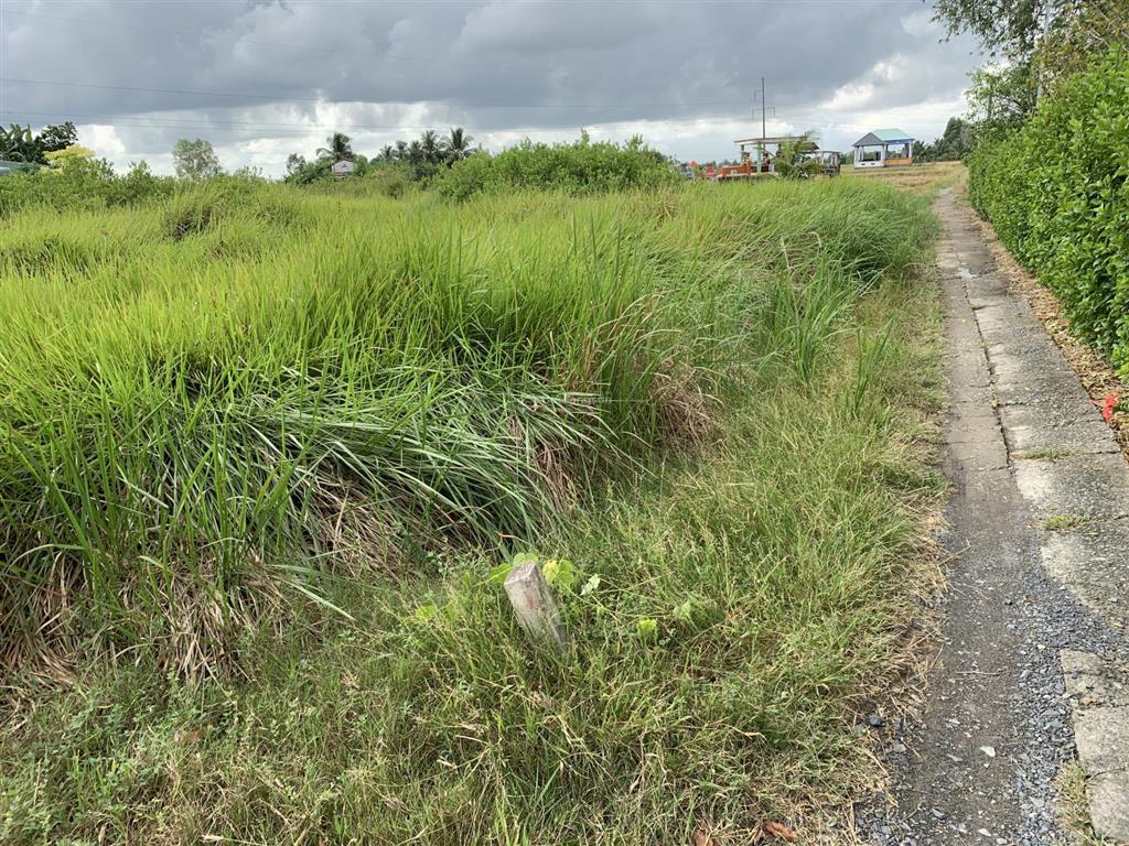 Cần bán đất thổ cư ở cần đước, long an