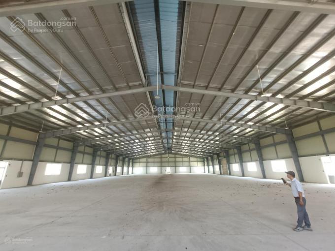 Chính chủ cho thuê làm cho kho xưởng 5.000m2, pccc đầy đủ.