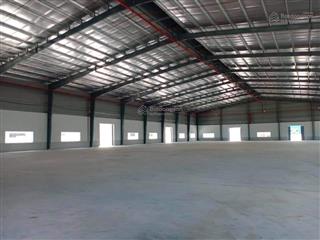 Chính chủ cho thuê làm cho kho xưởng 5.000m2, pccc đầy đủ.