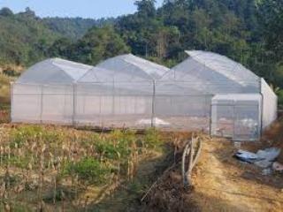 Siêu phẩm cho cho thuê kho xưởng kinh doanh an sơn, p4, đà lạt, lâm đồng.có nhà kính làm nghiên cứu