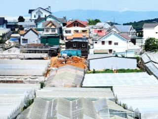 Chính chủ cho thuê đất nhà kính làm nghiên cứu