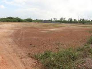 Chính chủ cho thuê đất trồng cây tại đà lạt