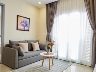 Cho thuê căn hộ  cc mini view đẹp, đồng nai, 10 triệu, 55m2, tân bình, hồ chí minh