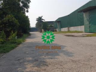 Công ty nghệ an cần cho thuê nhà xưởng 1800m² ở kcn nam cấm, nghi lộc