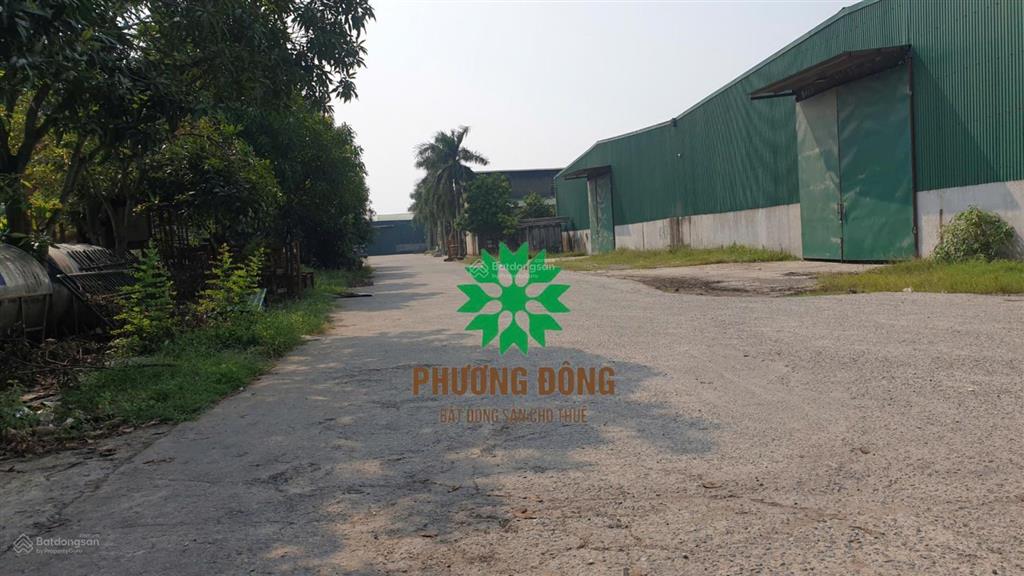 Công ty nghệ an cần cho thuê nhà xưởng 1620m² ở kcn nam cấm, trung lộc (nghi xá)