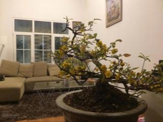 Bán nhà trong ngõ nông, sát mặt đường, có chỗ đỗ xe