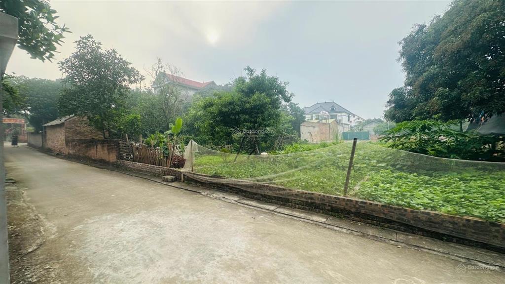 Chính chủ cần bán mảnh đất ở phú ninh, gần đường quốc lộ