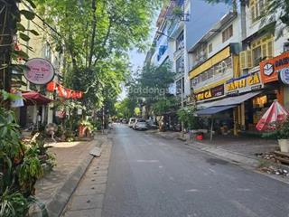 Bán nhà, chủ nhà bán kín, khúc thừa dụ, cầu giấy 51m2, thang máy, hơn 13 tỷ, 8 tầng, 12 phòng