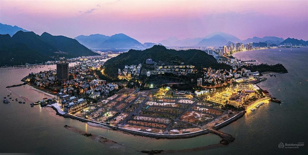 Quỹ căn nội bộ mặt biển đẹp nhất tại anh nguyễn ocean front horizon