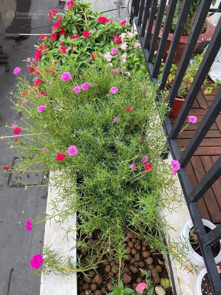 Bán nhà đẹp âu dương lân 45m2 3 tầng kiên cố đẹp lung linh full nội thất hoàn công 122m2 giá chỉ 6