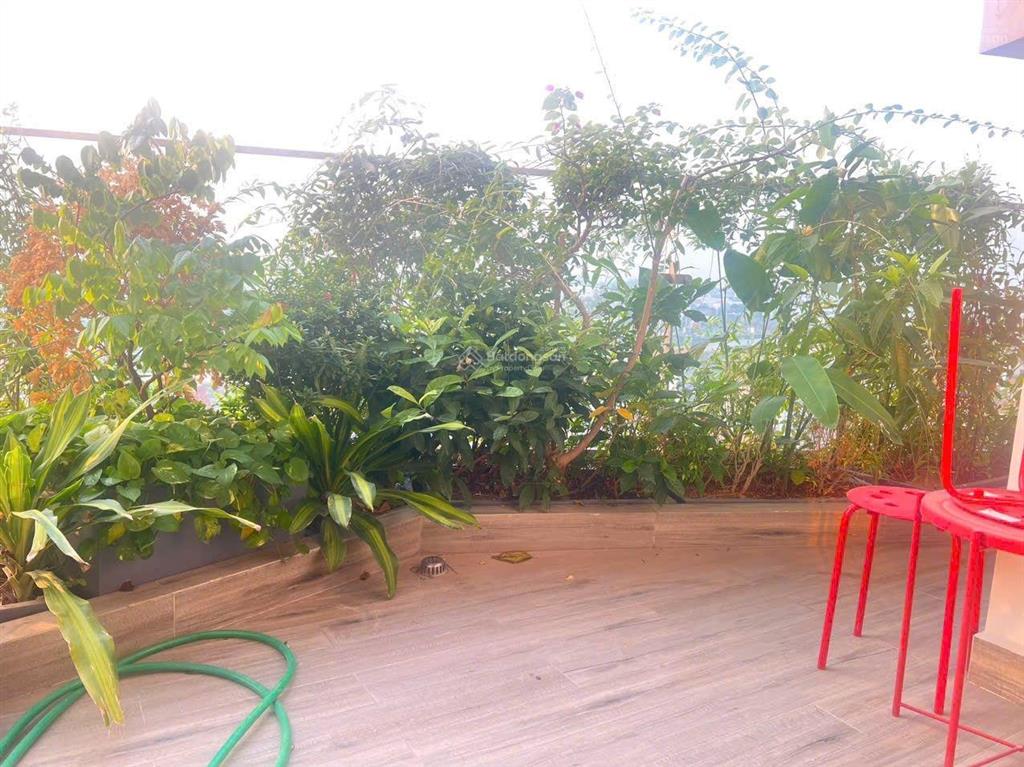 Hiếm!! căn 3pn solforest  sân vườn phòng khách cực chill  giá chỉ 6,6 tỷ