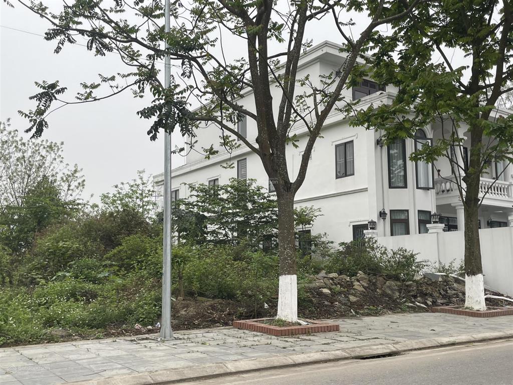 Mt 10m trục kinh doanh tl324  lâm thao  phú thọ