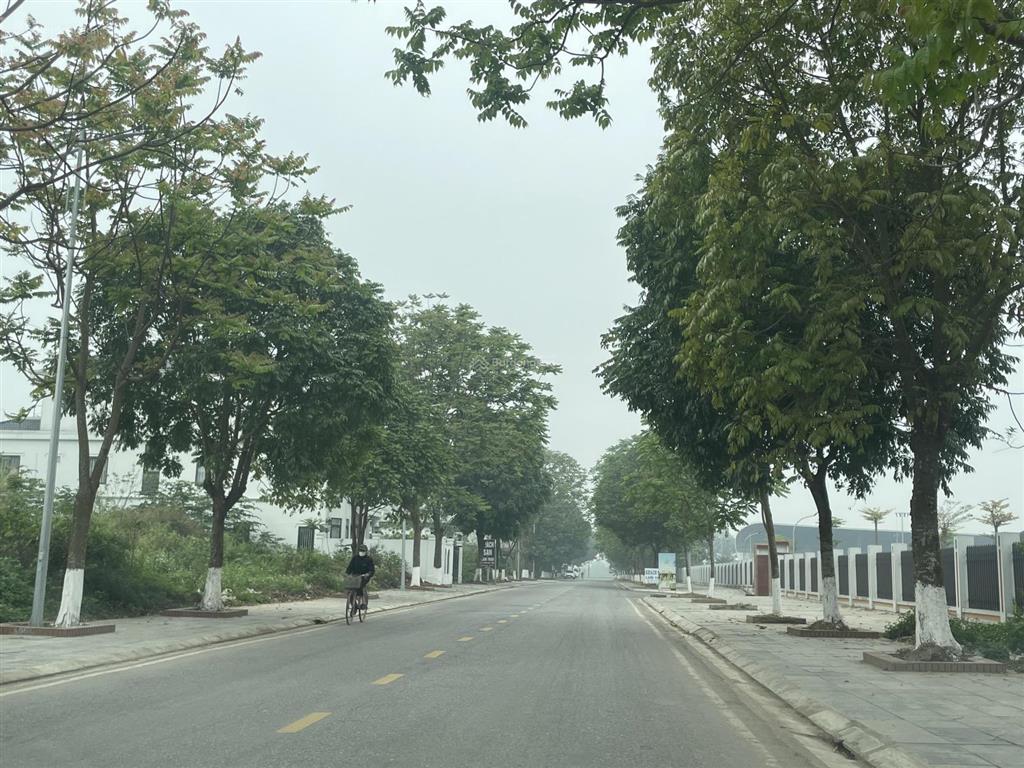 Mt 10m trục kinh doanh tl324  lâm thao  phú thọ