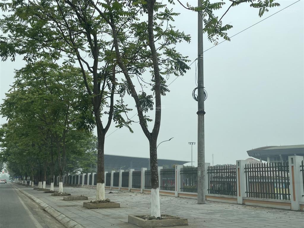 Mt 10m trục kinh doanh tl324  lâm thao  phú thọ