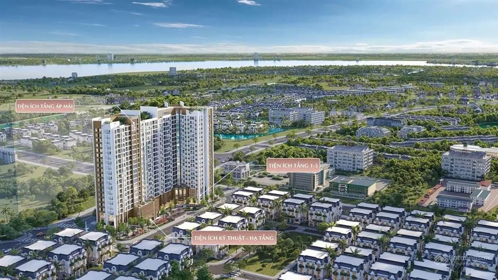 Chung cư nexus tower  dự án đông nam oasis city  tâm điểm kết nối  dẫn lối thành công