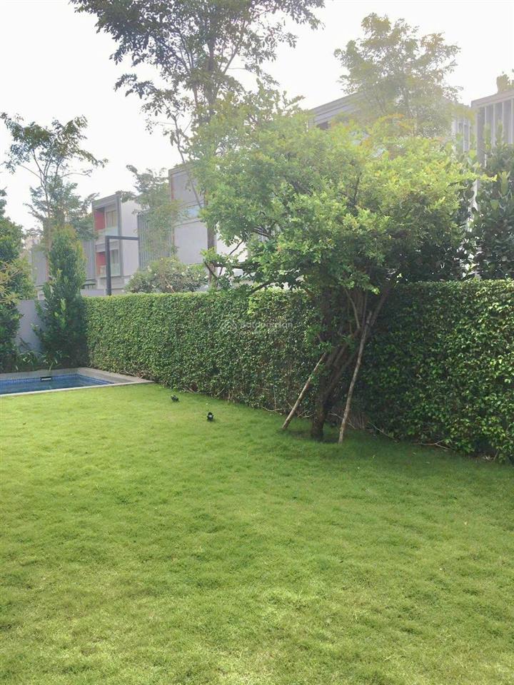 Cho thuê biệt thự holm thảo điền nhà 2 mặt tiền 525m2 hồ bơi, sân vườn, hiện đại cao cấp  293tr/t