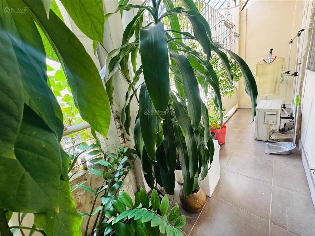 Căn hộ view 3 mặt  lê văn sỹ  3.8x18 (71m2)  3.8 tỷ